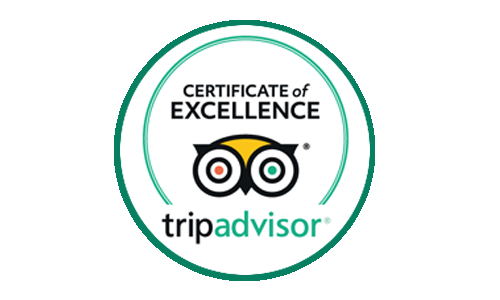 Tripadvisor Reviews